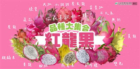 紅龍品種|紅龍果品種大集合｜食農教育資訊整合平